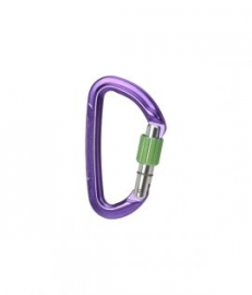Wild Country karabina Session Screw Gate